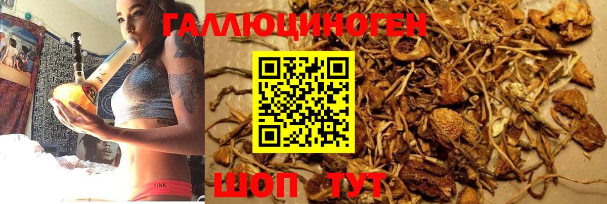 Бузулук  Псилоцибиновые грибы GOLDEN TEACHER  Вход с VPN 